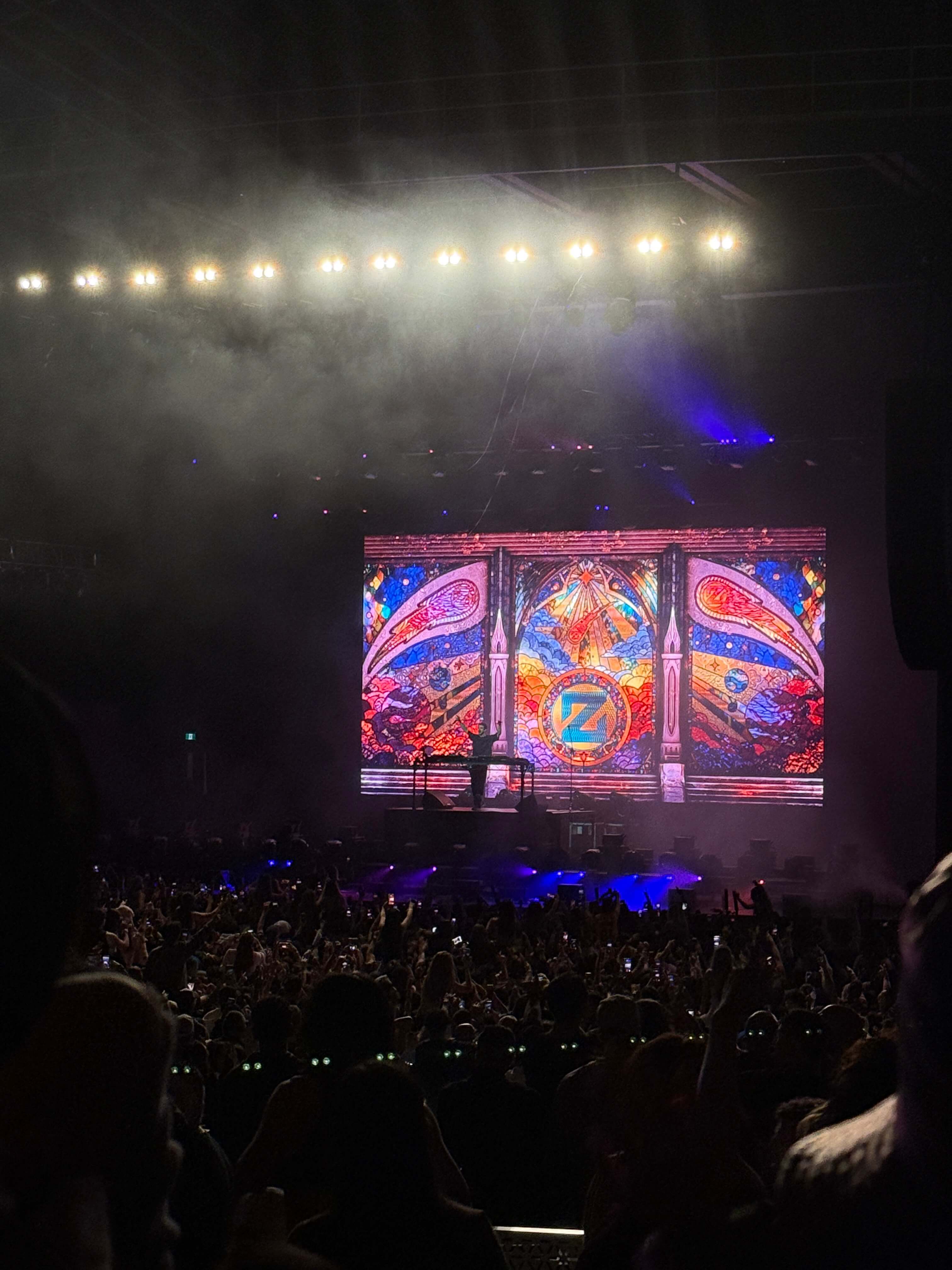 Zedd reel